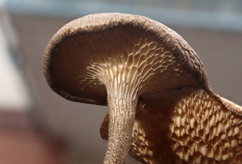 PC223032a.jpg